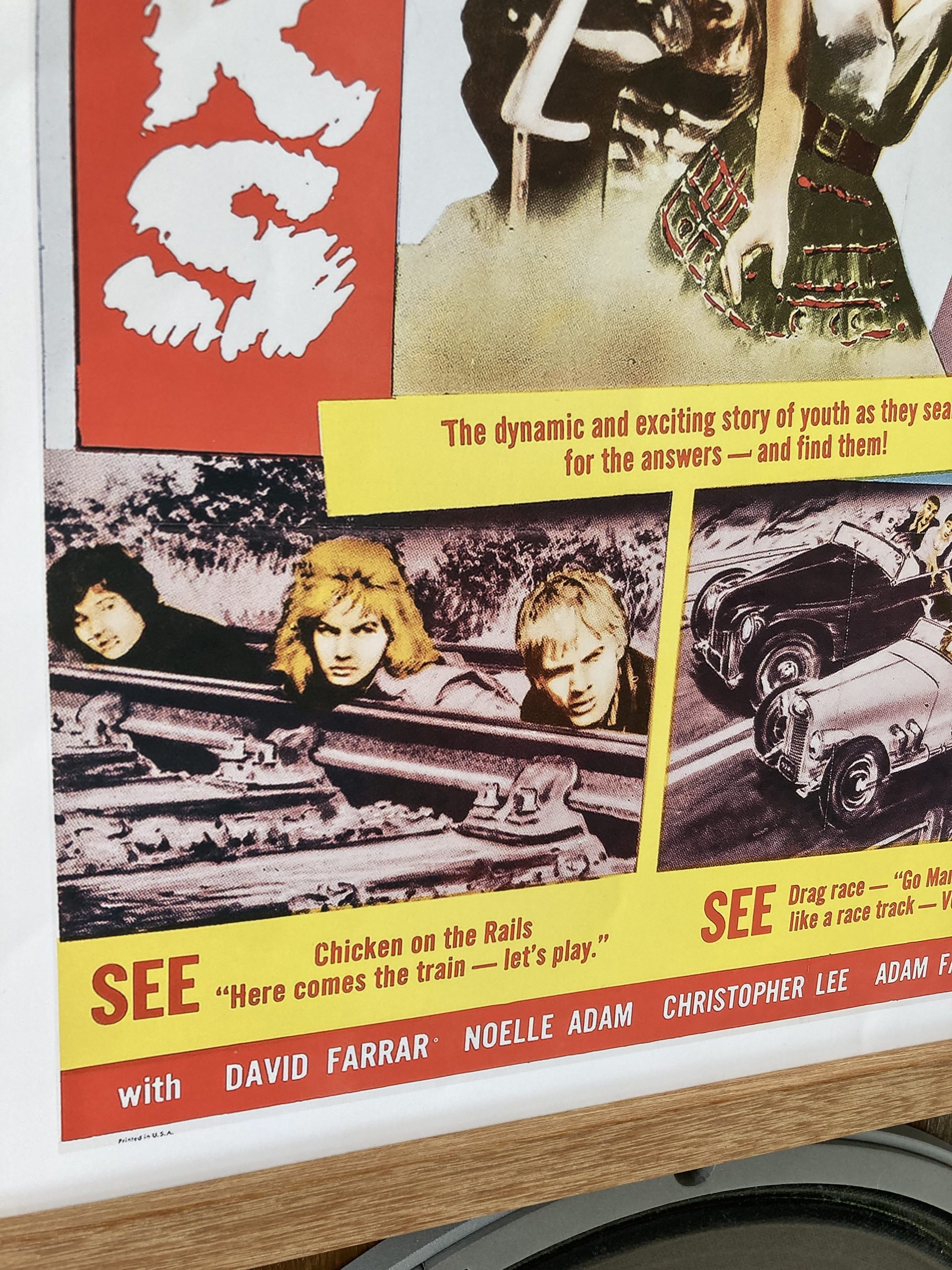 Wild For Kicks Poster - Image 4