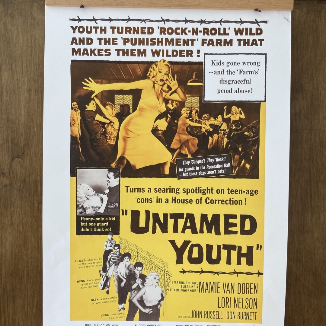 Untamed Youth Poster