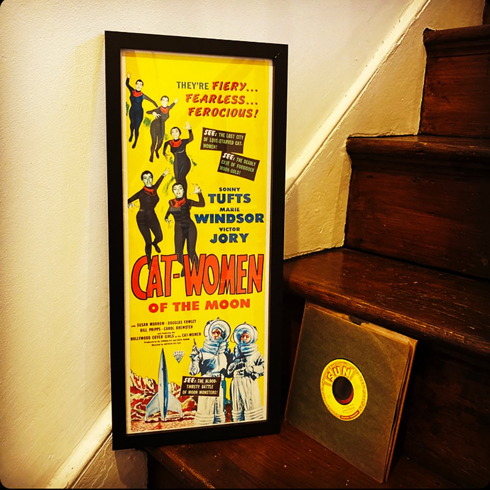 Cat-woman of the moon - framed