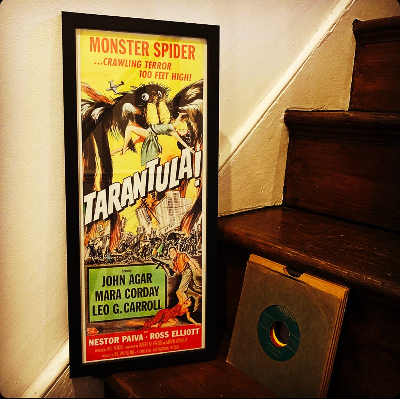 Tarentula - framed